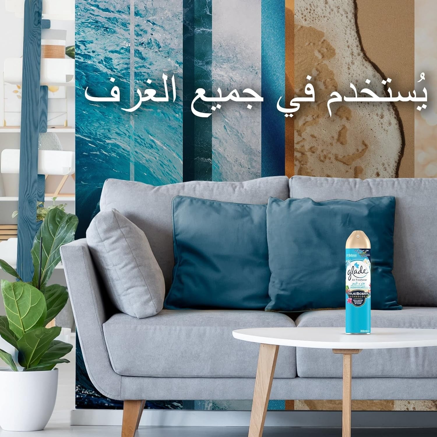 81LSTwwMvrL._AC_SL1500