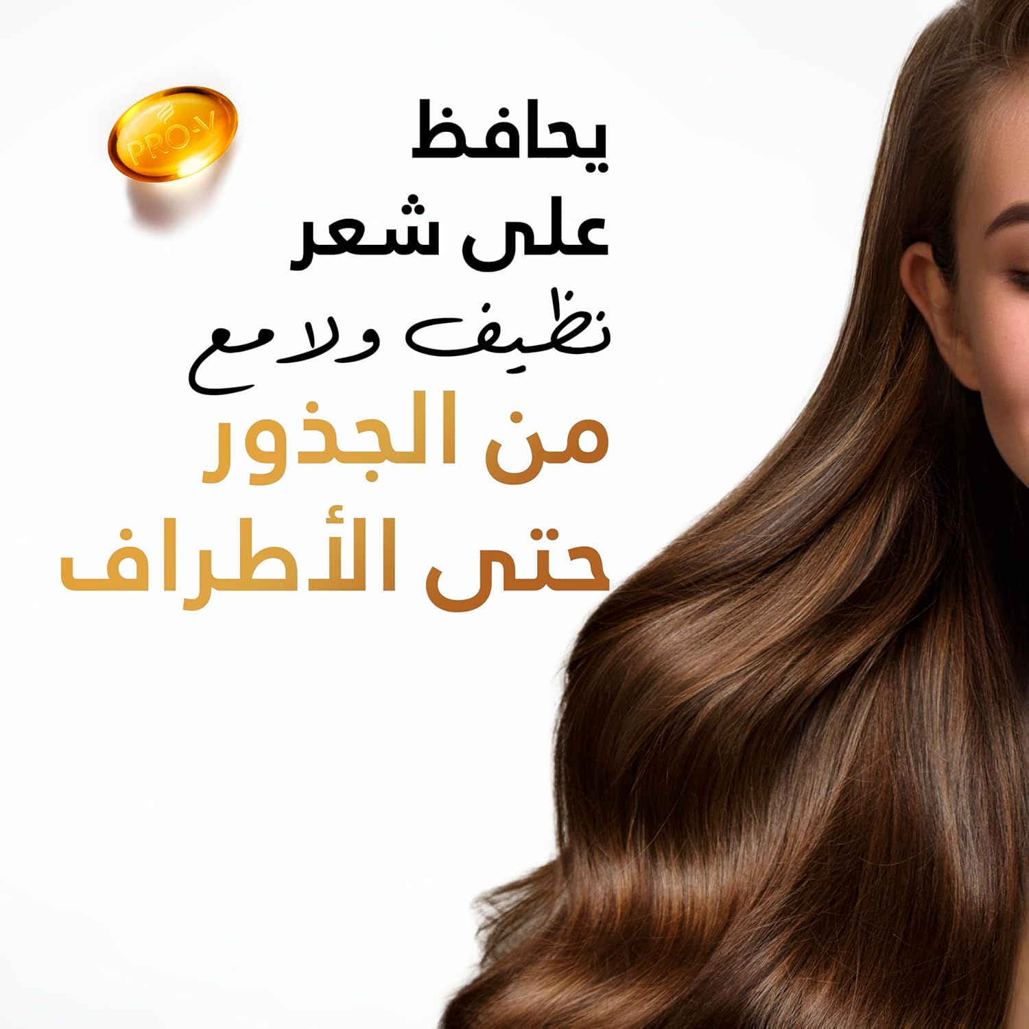 81WARmm6hTL._AC_SL1500
